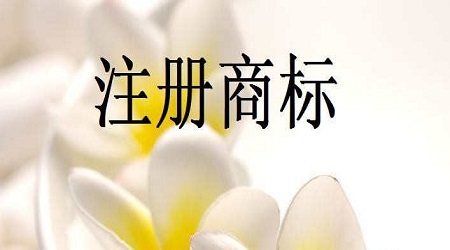 1537415175869328.jpg 706-16100G45232.jpg