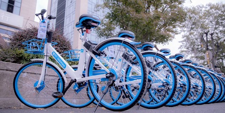 1537867456128479.jpg mrn_-hexfcvk9961176.jpg