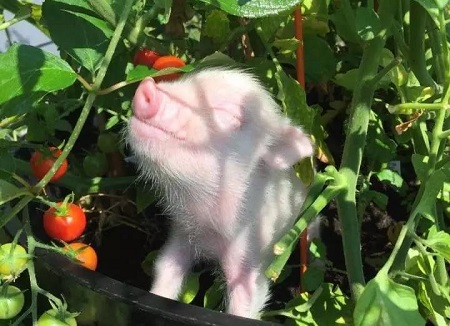 1537933456243043.jpg 微信圖片_20180926110342.jpg