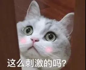 1563534926533594.jpg 微信圖片_20190719190955.jpg